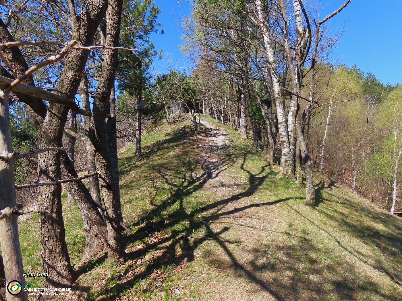 35 Dal Rocol di Ciàrec risalgo....JPG